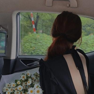 虎狼当道